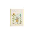 Cartes "Mes 12 Premiers Mois" Trois Petits Lapins 30 Cartes MOULIN ROTY - 4