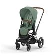 Poussette PRIAM Chrome Leaf Green 2023 CYBEX