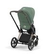 Poussette e-PRIAM Matt Black Leaf Green 2023 CYBEX - 11